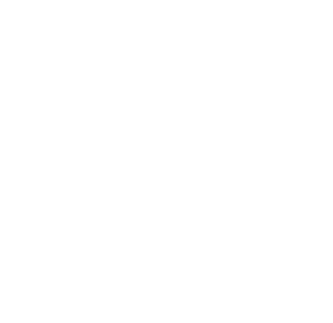 Logo NextLevelWines