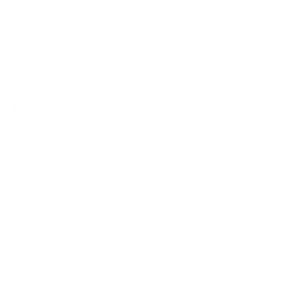 Logo NextLevelWines